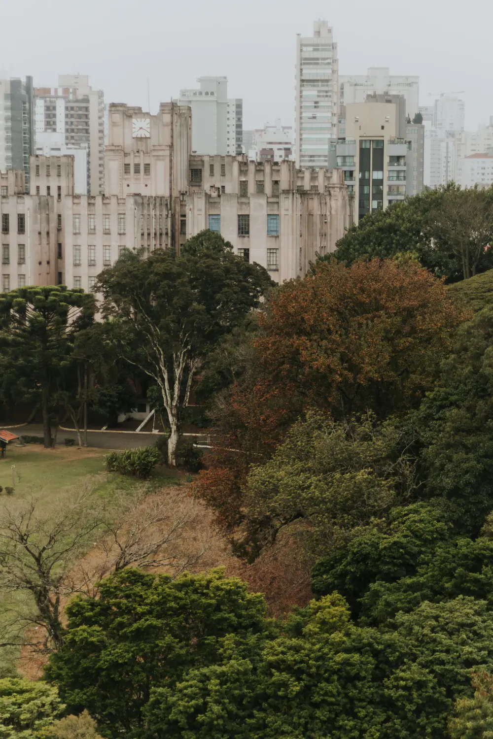 Parque em meio aos prédios de São Paulo