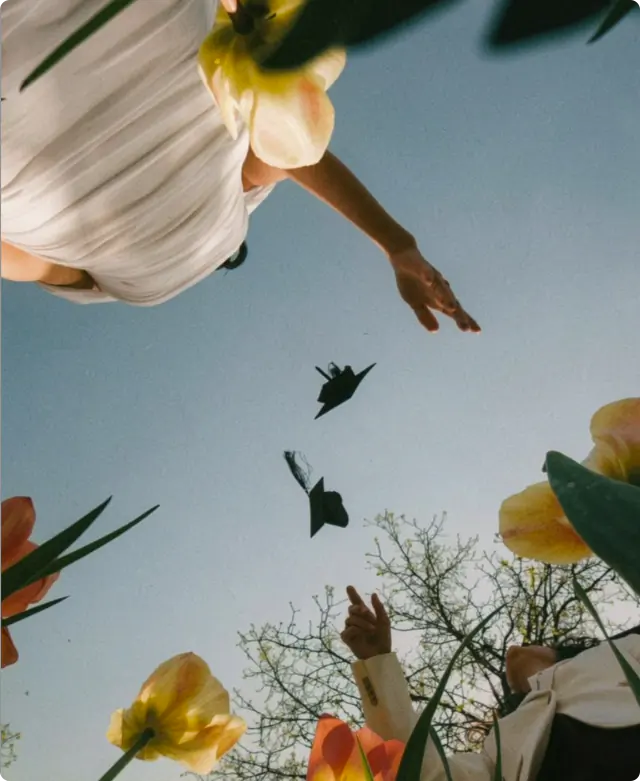 Flores e céu azul